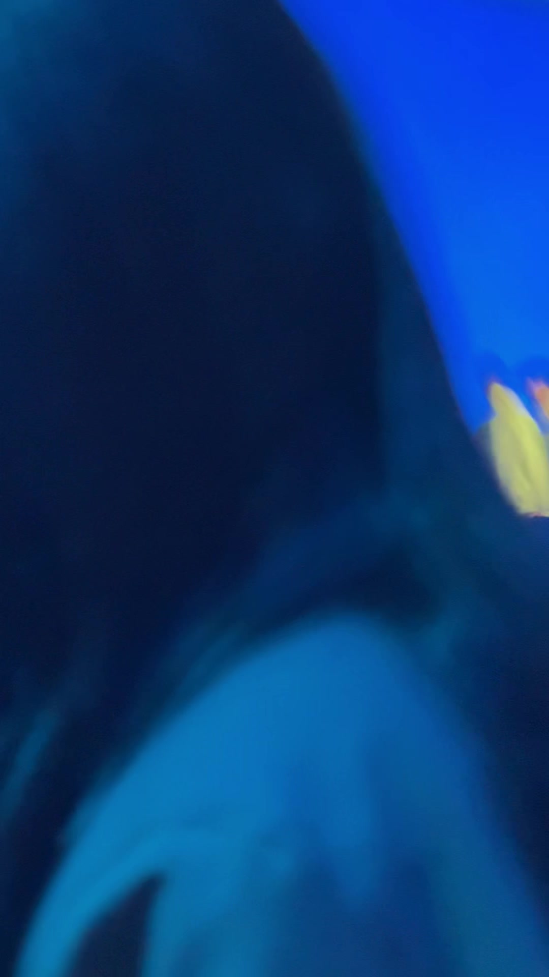 现场粉丝实拍：JDG上单Flandre赛后拍了拍Rookie